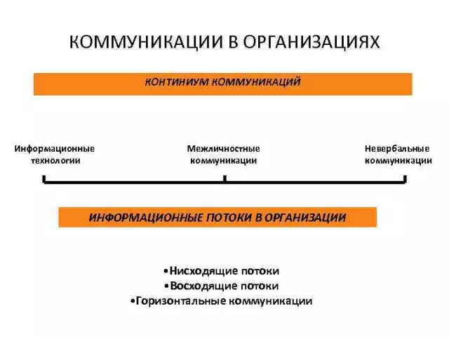 Социальные и профессиональные аспекты коммуникации через группы WhatsApp